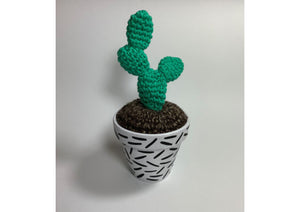 Hand Crocheted Cactus - Medium