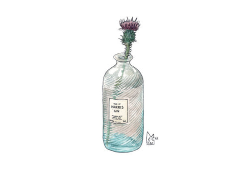 Thistle in Harris Gin Bottle - A4 Print