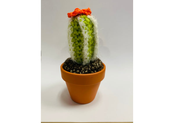 Hand Crocheted Cactus - Small