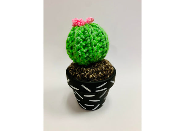 Hand Crocheted Cactus - Small