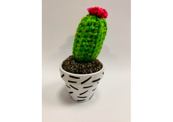 Hand Crocheted Cactus - Small