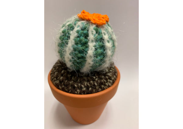 Hand Crocheted Cactus - Medium