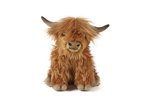 Highland Cow with sound by Living Nature