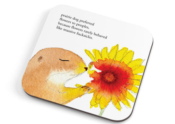 Funny Coasters