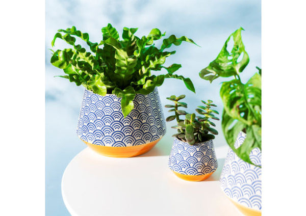 Blue Wave Planter - Large