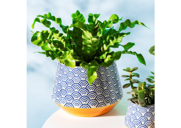 Blue Wave Planter - Large